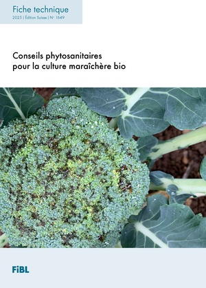 Conseils phytosanitaires pour la culture maraîchère bio